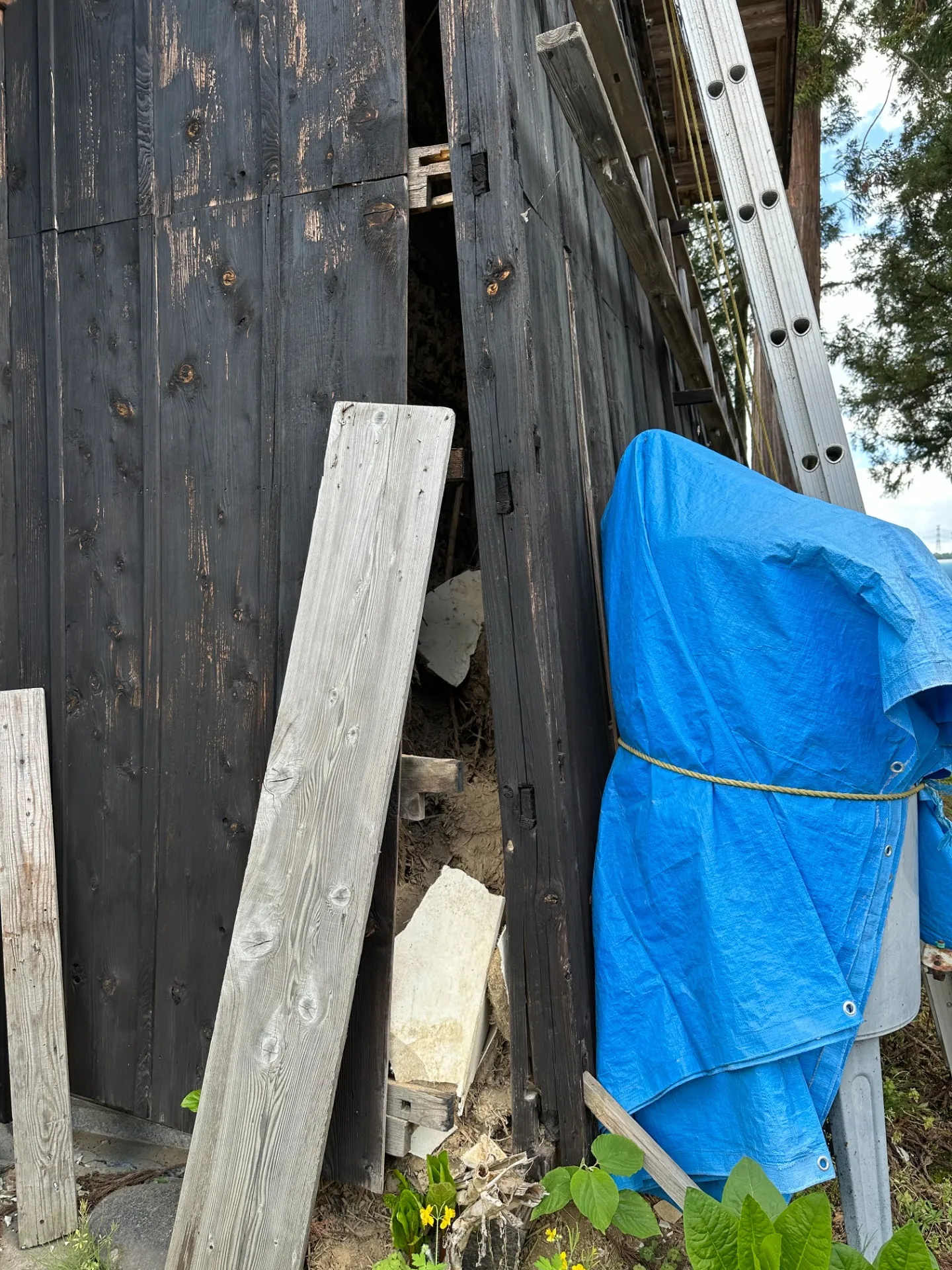 施工前（詳細②）