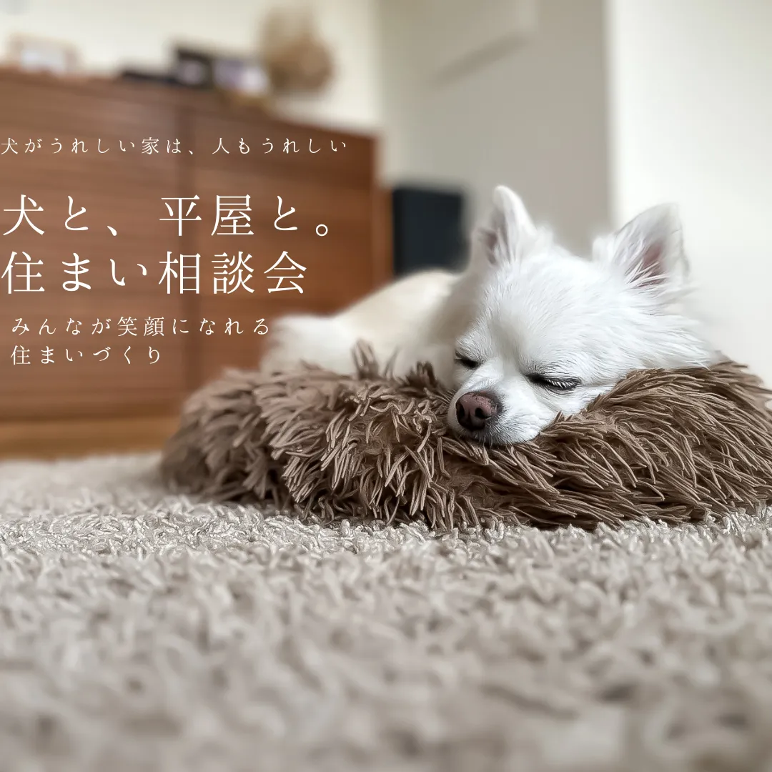 【きく×みる×はなす】 犬と、平屋と。住まい相談会 開催日:2026/09/12(土)、09/13(日)