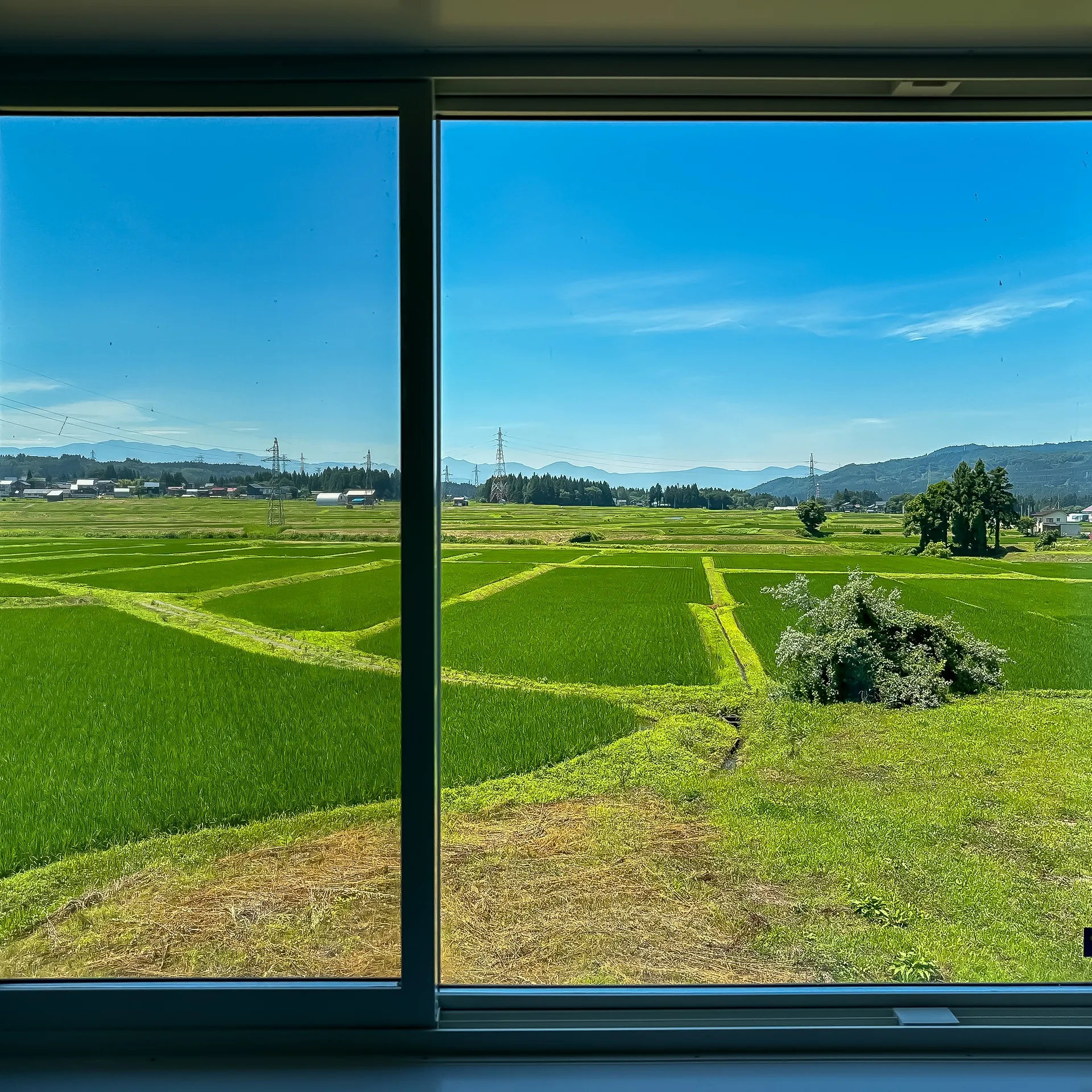 【窓が切り取る、四季の絵画】🌾❄️